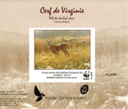 2012 White-tailed Deer by Patrice Wolput
