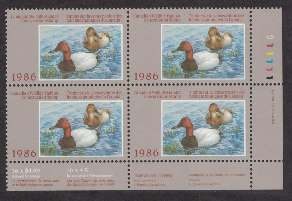 1986 White-backed Morillons by J. Fenwick Lansdowne