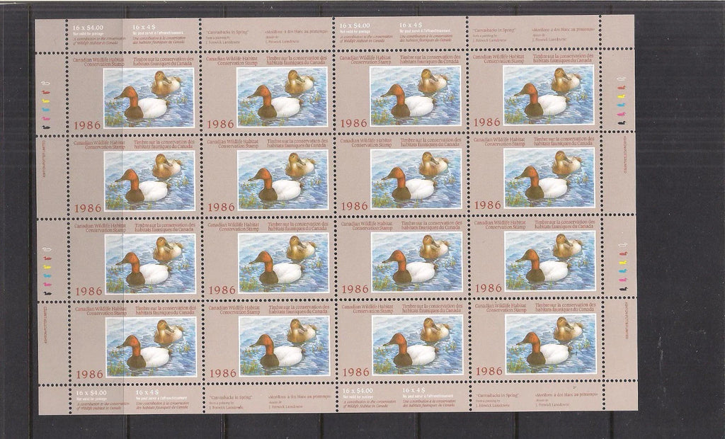 1986 White-backed Morillons by J. Fenwick Lansdowne