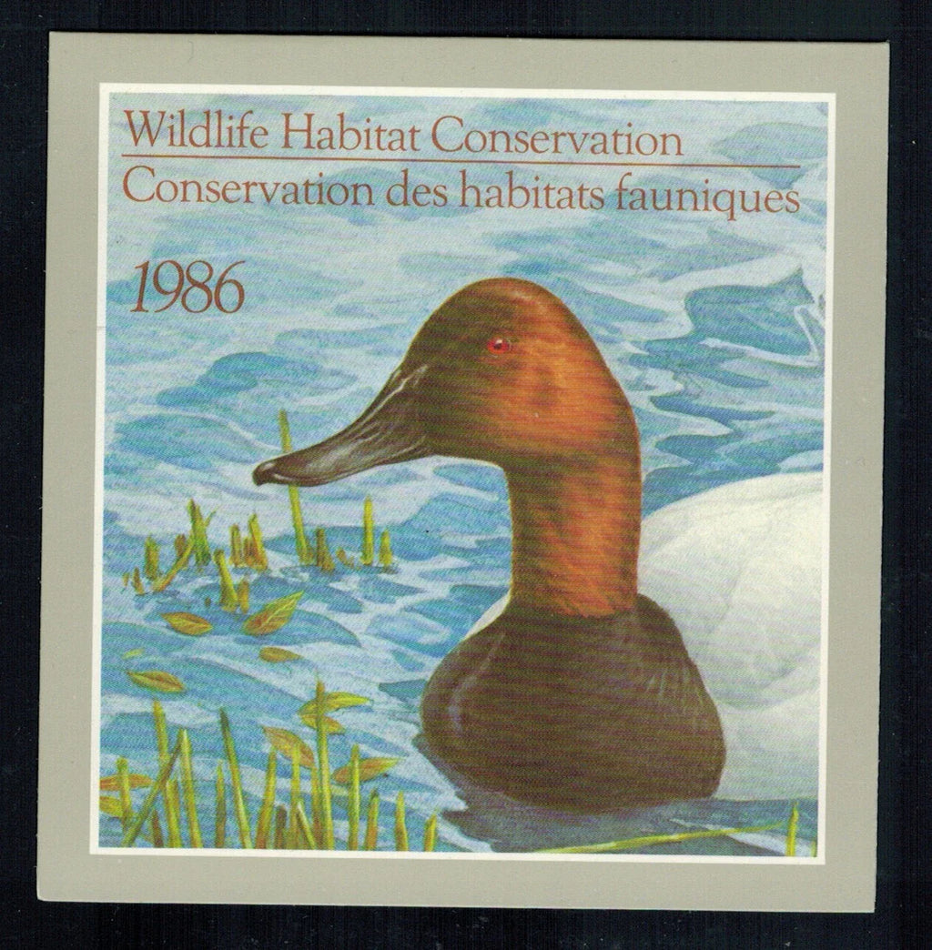 1986 White-backed Morillons by J. Fenwick Lansdowne