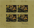 1988 Ruffed Grouse by Jean-Luc Grondin