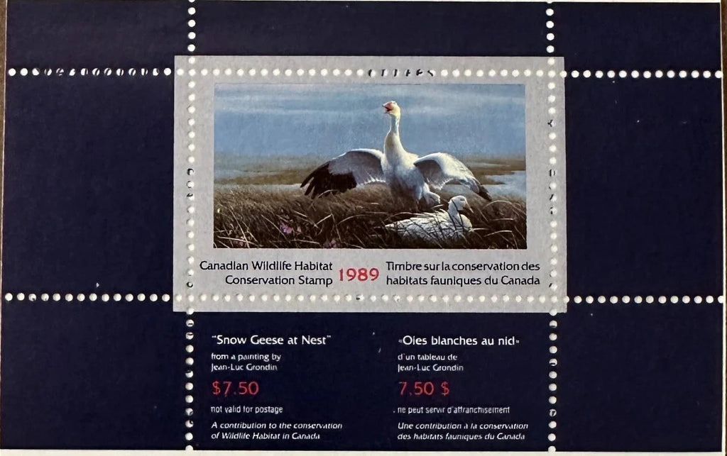 1989 Oies blanches de Jean-Luc Grondin