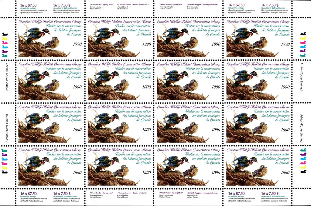 1990 Canards huppés de Michael Dumas