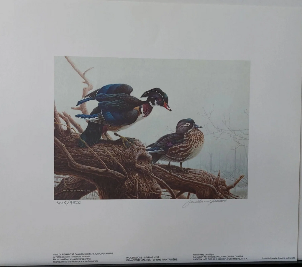 1990 Canards huppés de Michael Dumas