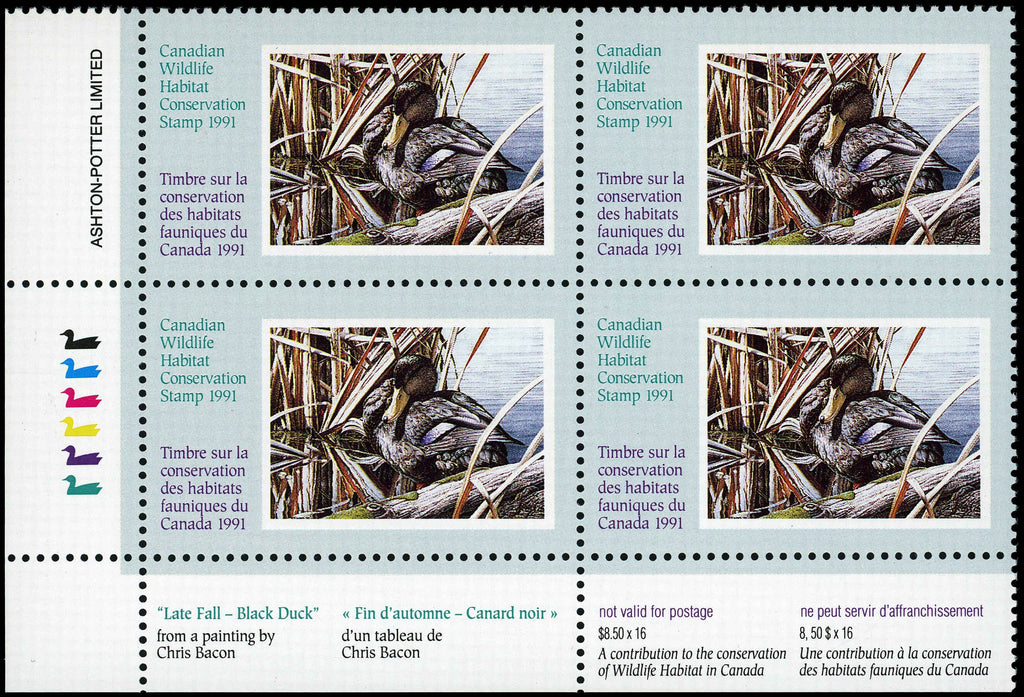 1991 Canards noirs de Chris Bacon