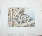 1991 Canards noirs de Chris Bacon