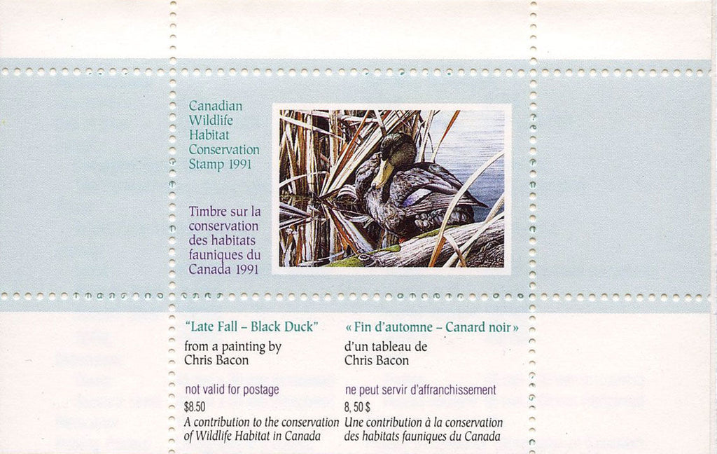 1991 Canards noirs de Chris Bacon