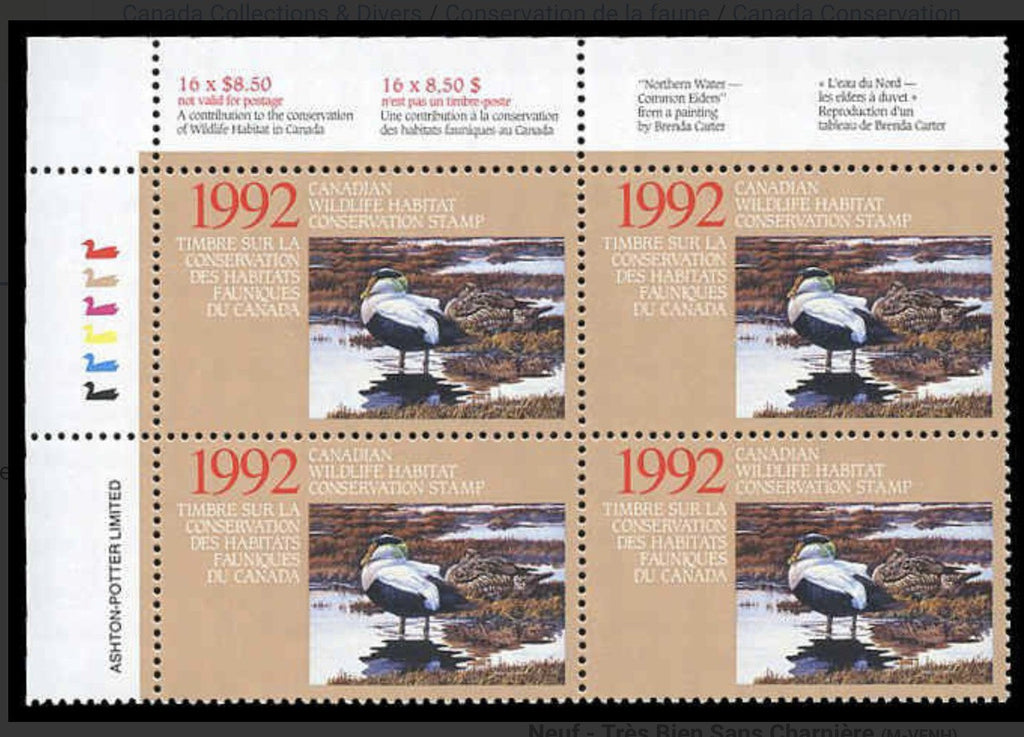 1992 Eider à duvet de Brenda Carter