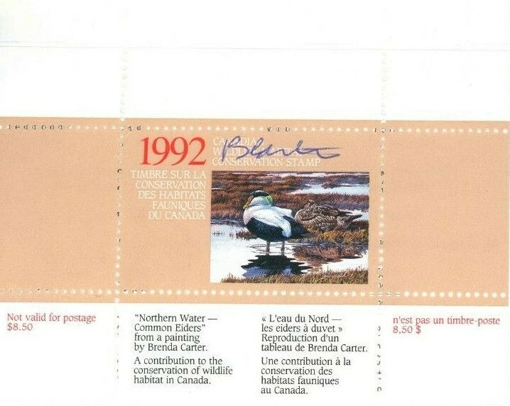 1992 Eider à duvet de Brenda Carter