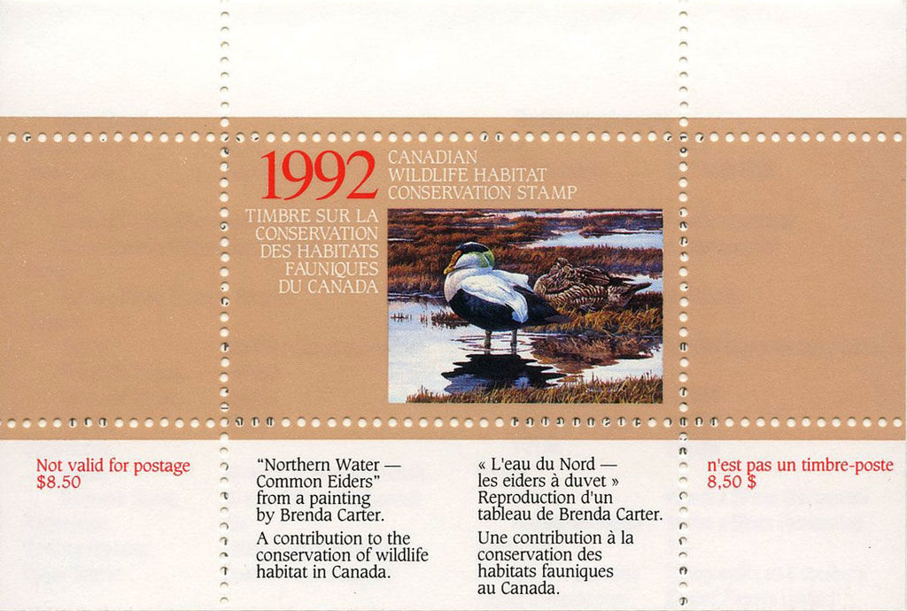 1992 Eider à duvet de Brenda Carter