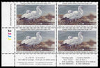 1994 Oies de Ross de Alan Sakhavarz