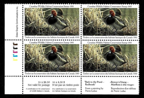 1995 Morillons à tête rouge de Pierre Leduc