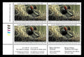 1995 Morillons à tête rouge de Pierre Leduc