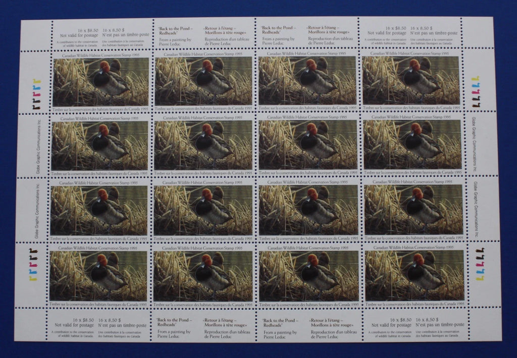 1995 Morillons à tête rouge de Pierre Leduc
