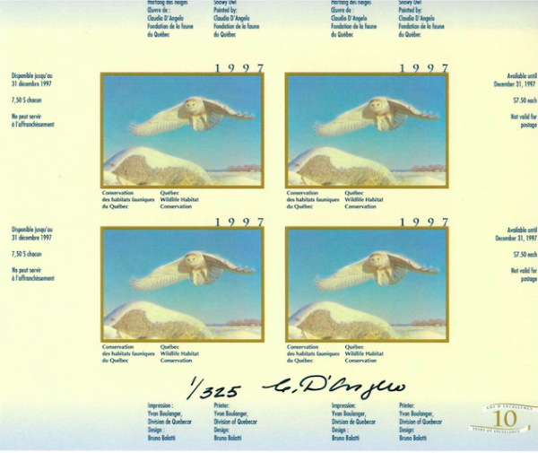 1997 Harfang des Neiges de Claudio D’Angelo