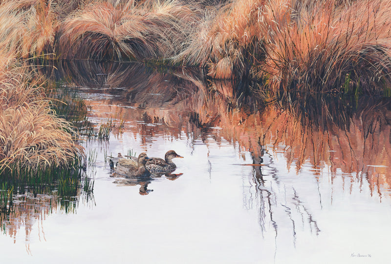 1997 Canards chapeaux de Kerri Burnett