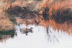 1997 Canards chapeaux de Kerri Burnett