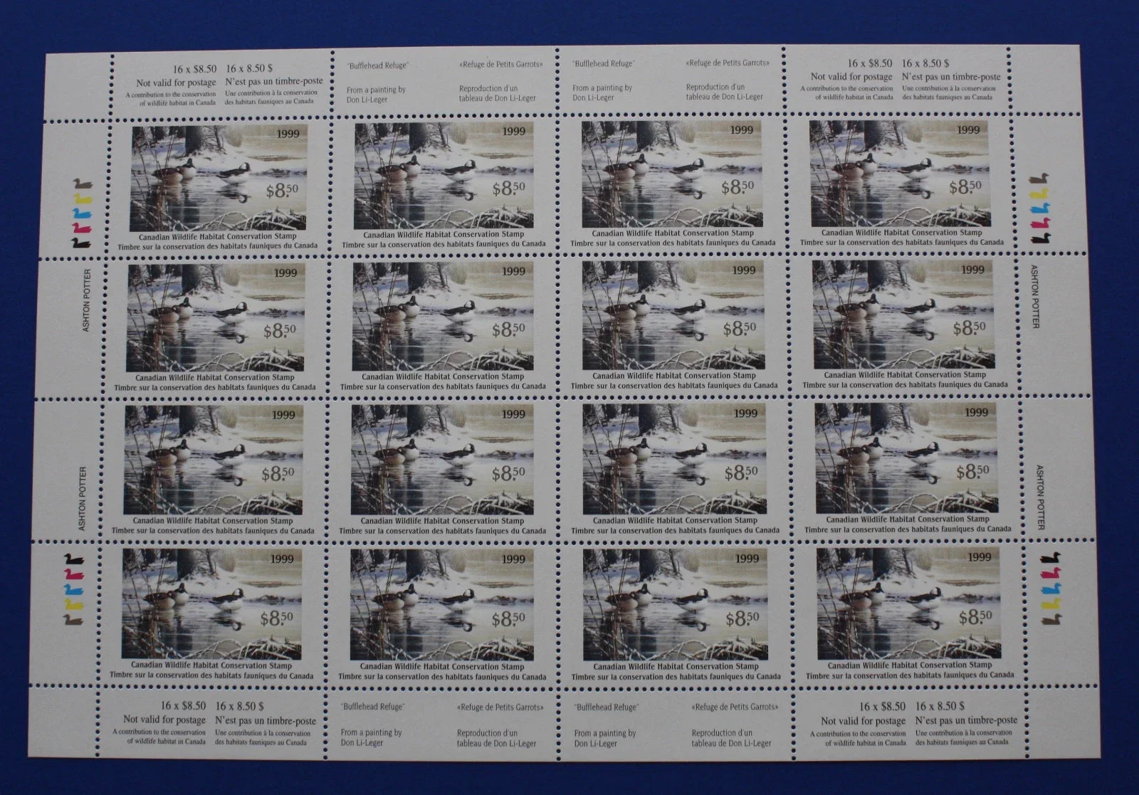1999 Petits Garrots de Don Li-Leger