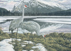 2000 Grues du Canada de Ken Ferris