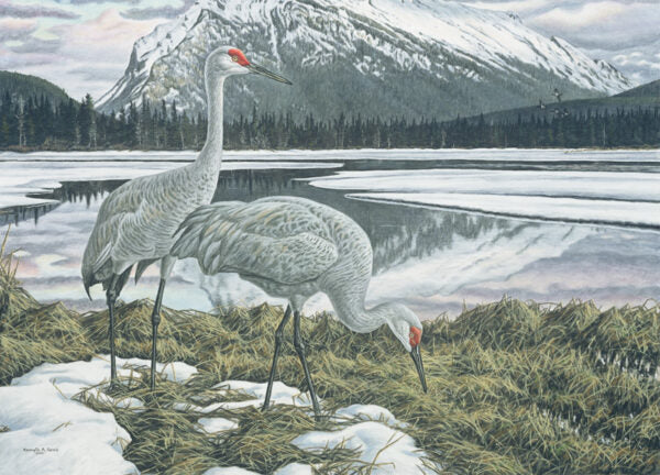2000 Grues du Canada de Ken Ferris