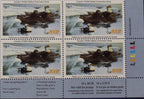 2002 Eiders à tête grise de Pierre Leduc