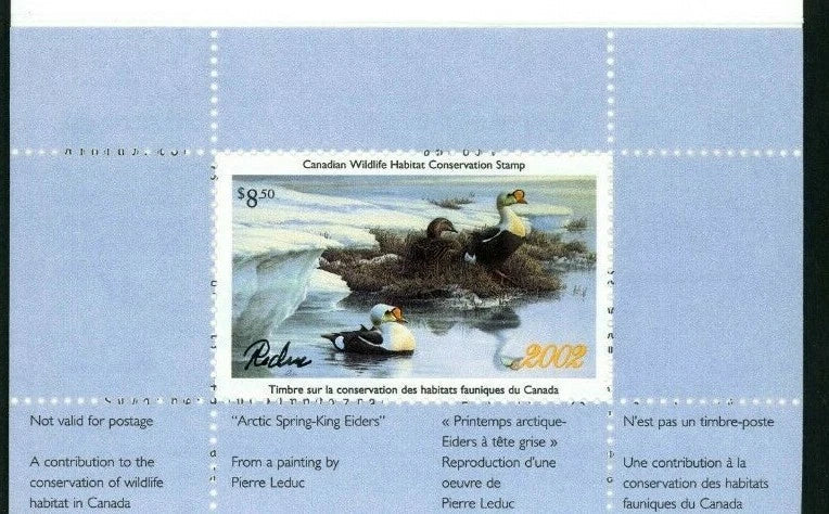 2002 Eiders à tête grise de Pierre Leduc