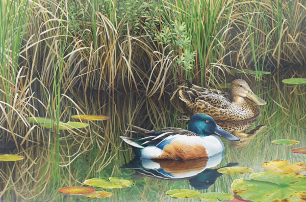 2003 Canard Souchet de Patrice Wolput