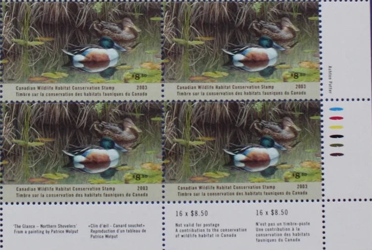 2003 Canard Souchet de Patrice Wolput