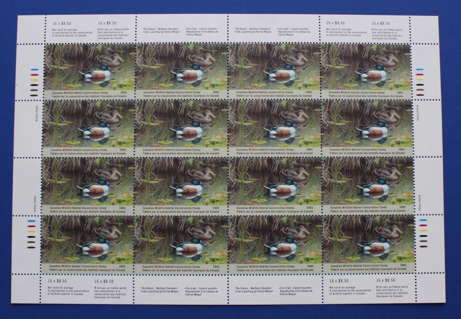 2003 Canard Souchet de Patrice Wolput