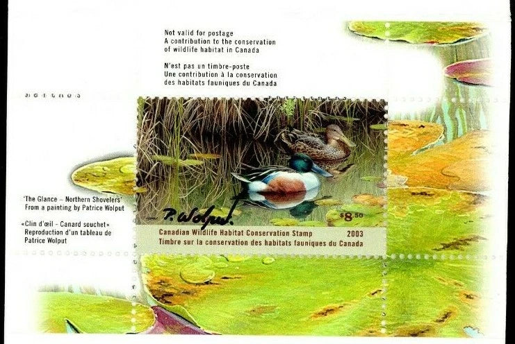 2003 Canard Souchet de Patrice Wolput