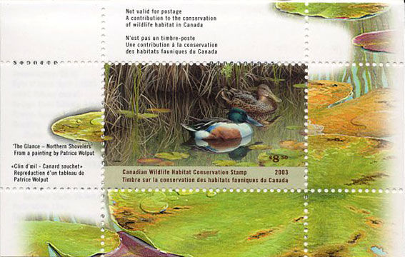 2003 Canard Souchet de Patrice Wolput