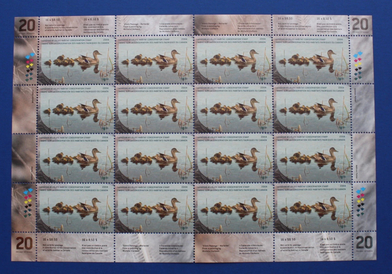 2004 Canards colvert de Michele Clarkson