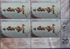 2004 Canards colvert de Michele Clarkson