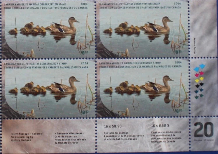 2004 Canards colvert de Michele Clarkson