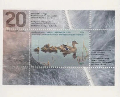2004 Canards colvert de Michele Clarkson