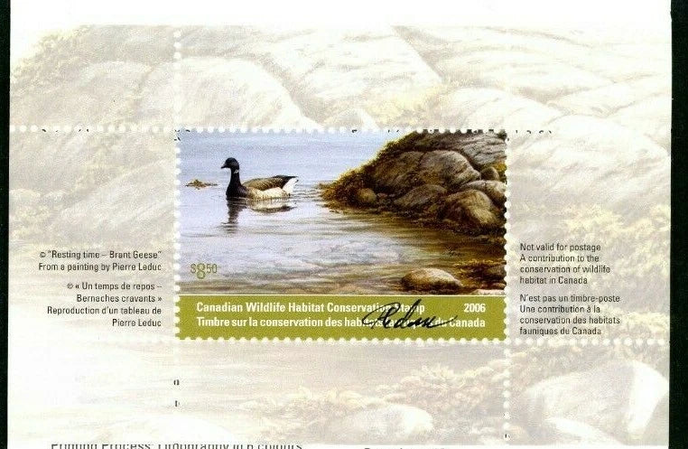 2006 Bernaches cravants de Pierre Leduc