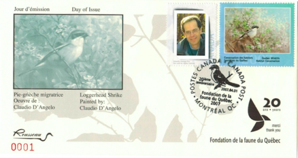 2007 Pie-grièche migratrice de Claudio D’Angelo