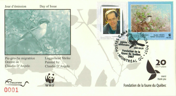 2007 Pie-grièche migratrice de Claudio D’Angelo