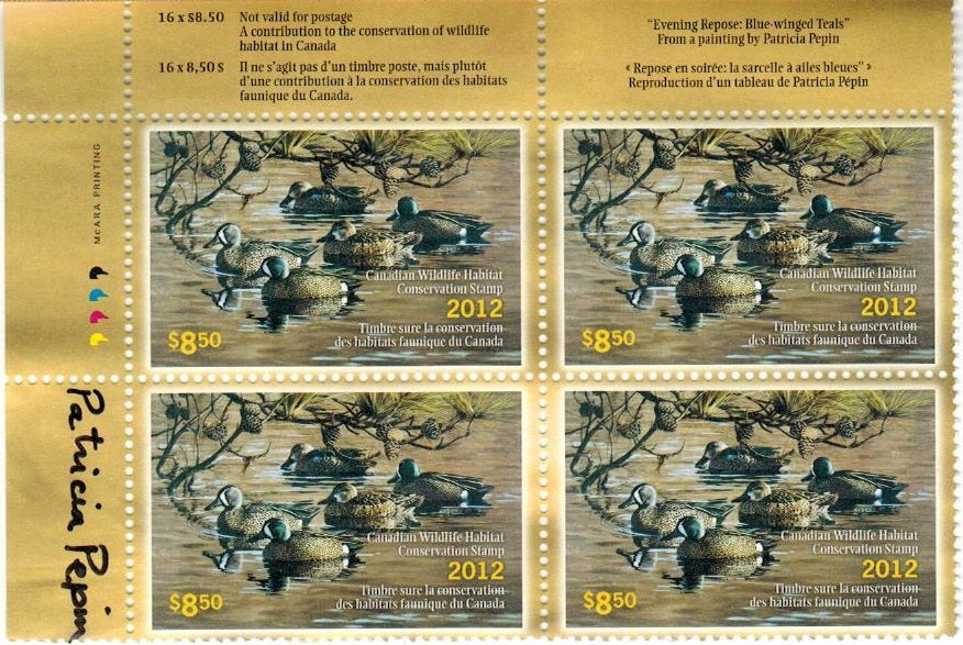2012 Sarcelle à ailes bleues de Patrice Pépin