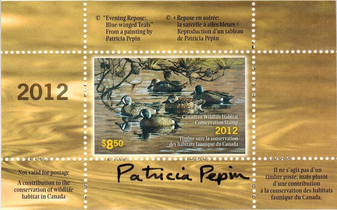 2012 Sarcelle à ailes bleues de Patrice Pépin