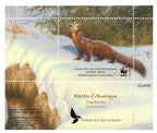 2013 Pine Marten, by Claudio D’Angelo