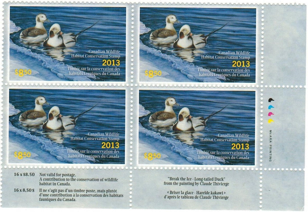 2013 Harelde Kakawi Long-Tailed Duck par Claude Thivierge