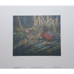 2014 Sarcelle cannelle d'après le tableau de Lori Boast