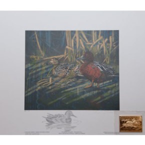 2014 Sarcelle cannelle d'après le tableau de Lori Boast