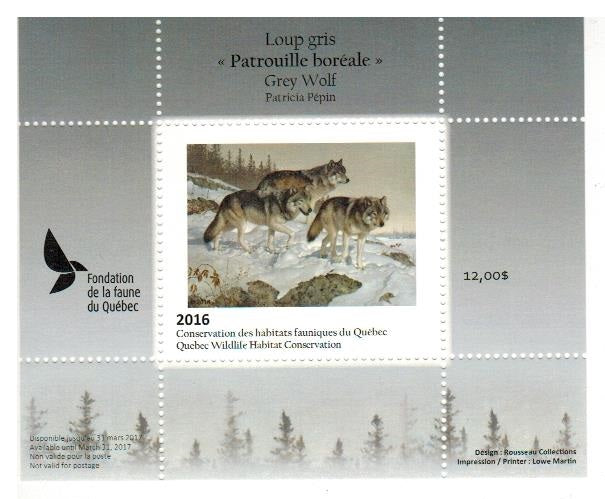 2016 Loup gris - Patricia Pépin