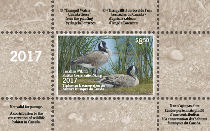 2017 Tranquil Waters – Canada Geese by Angela Lorenzen