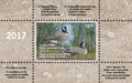 2017 Tranquil Waters – Canada Geese by Angela Lorenzen
