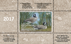 2017 Tranquil Waters – Canada Geese by Angela Lorenzen