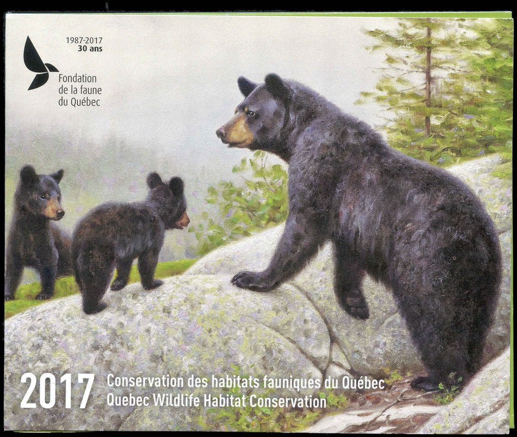 2017 In the mists of summer, black bears by Claudio D’Angelo