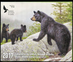 2017 In the mists of summer, black bears by Claudio D’Angelo